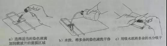 1649293603412011.png 图片1.png